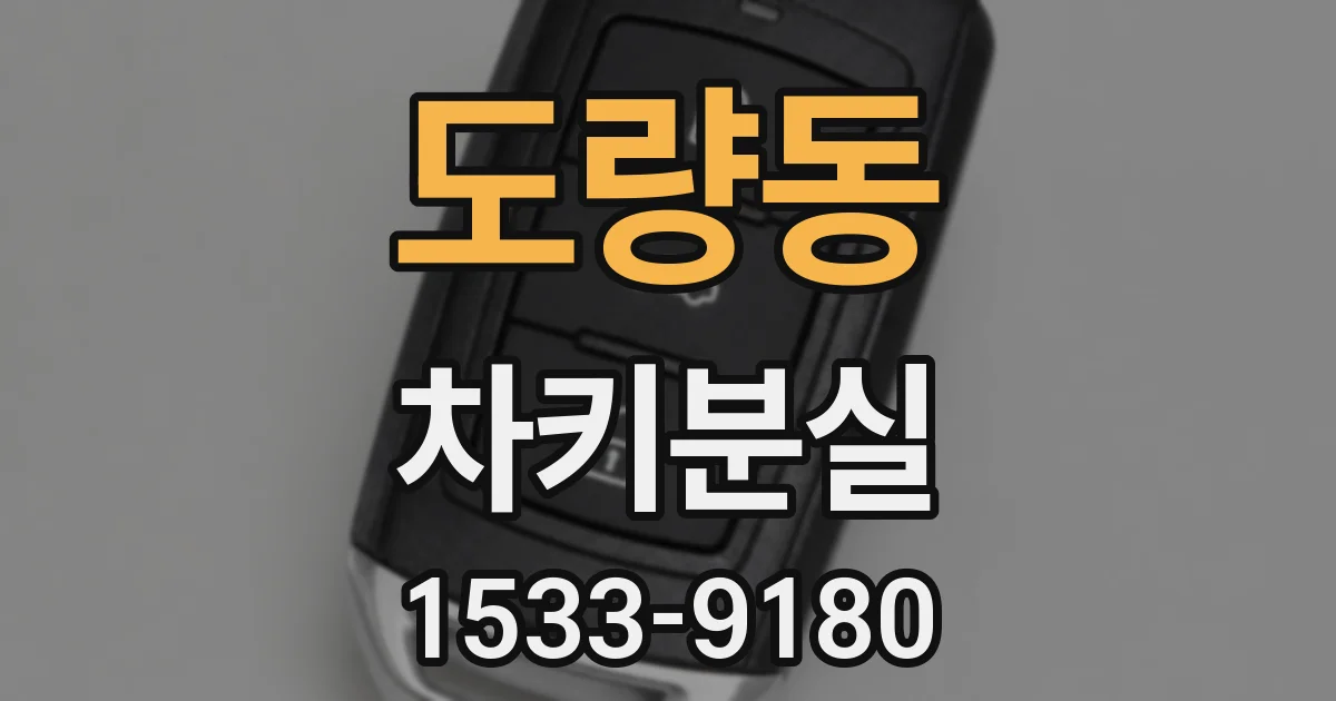 도량동 차키분실