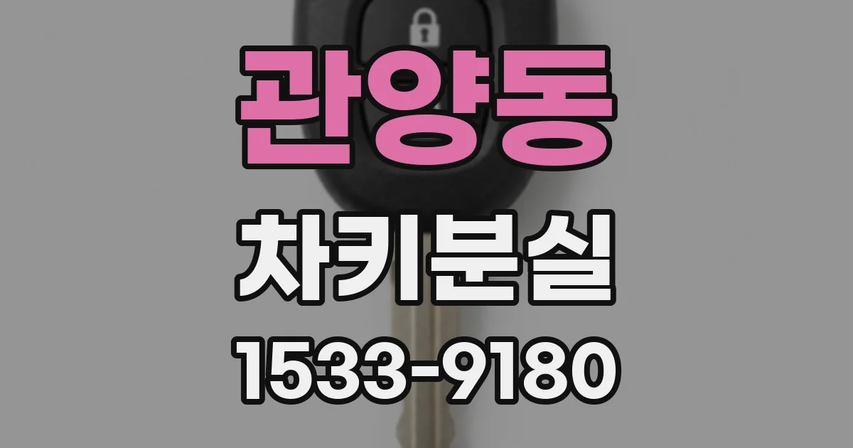 관양동 차키분실