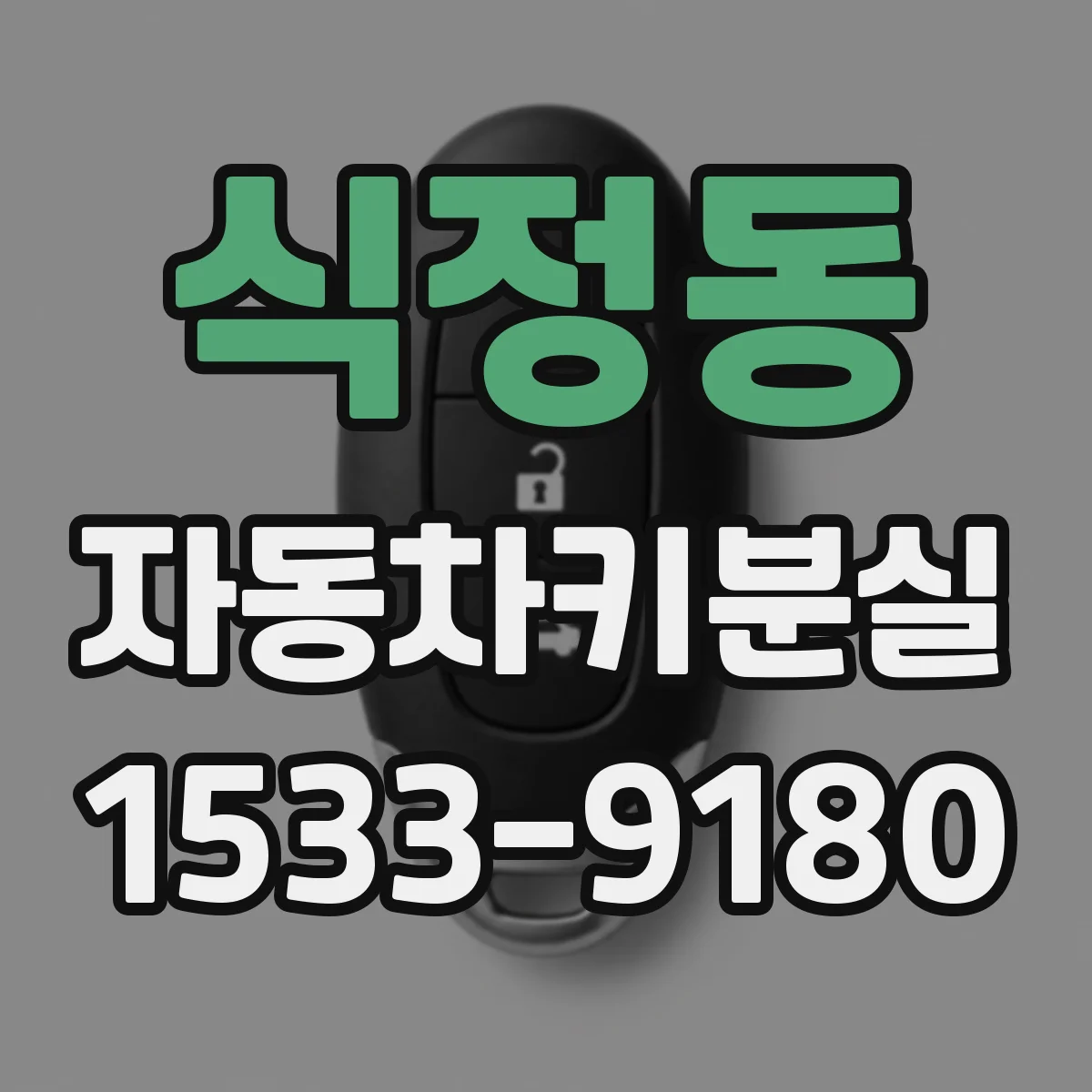 식정동 자동차키분실