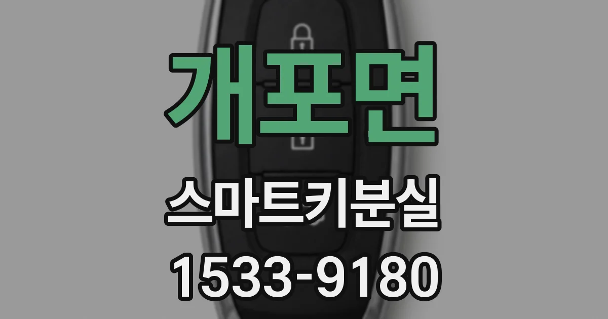 개포면 스마트키분실