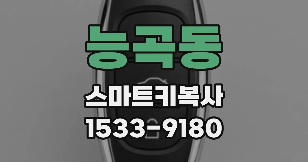 능곡동 스마트키복사