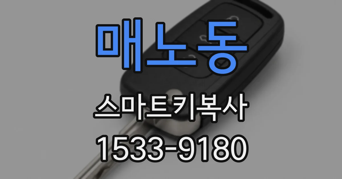 매노동 스마트키복사