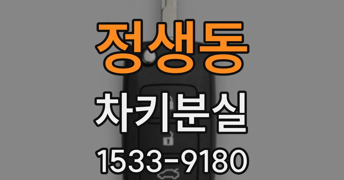 정생동 차키분실