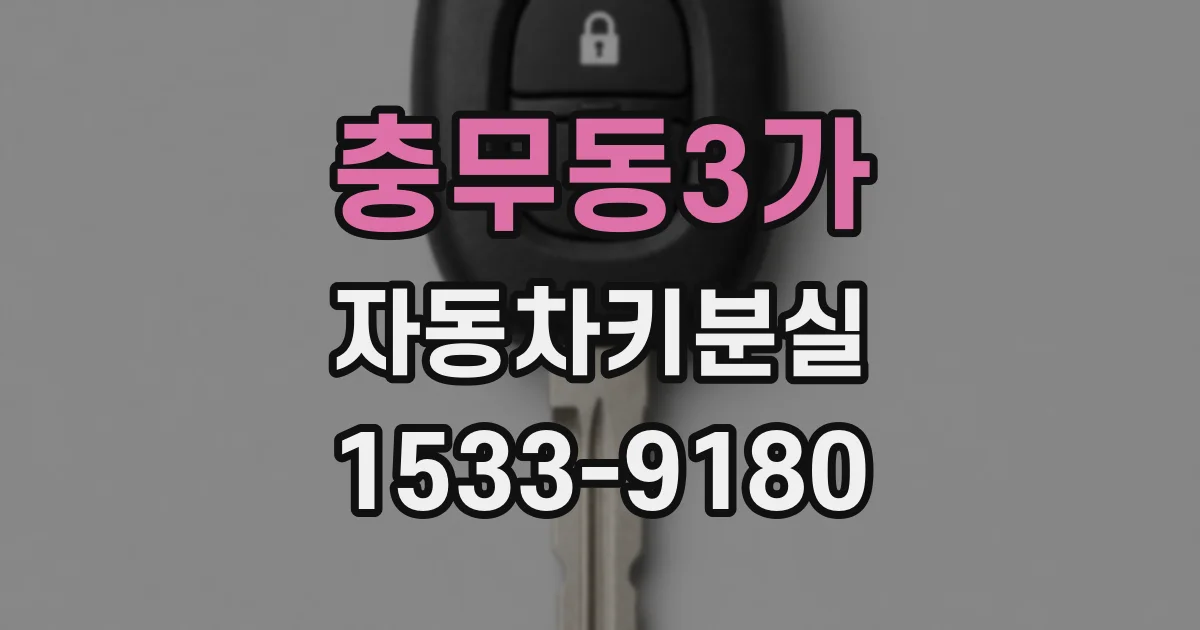 충무동3가 자동차키분실