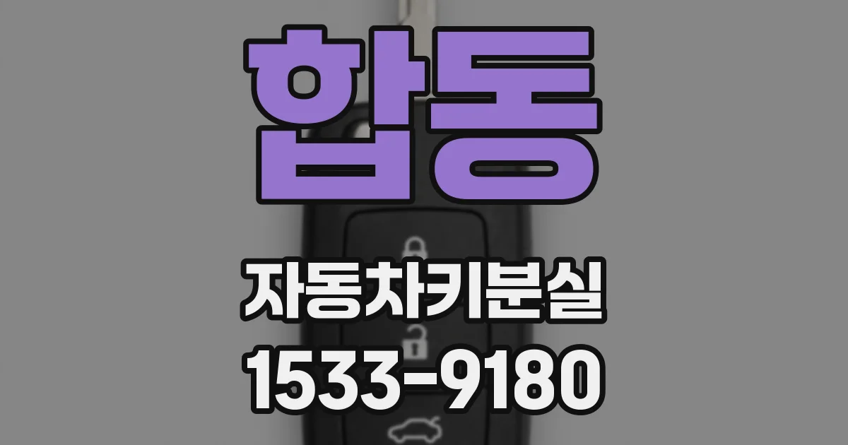 합동 자동차키분실