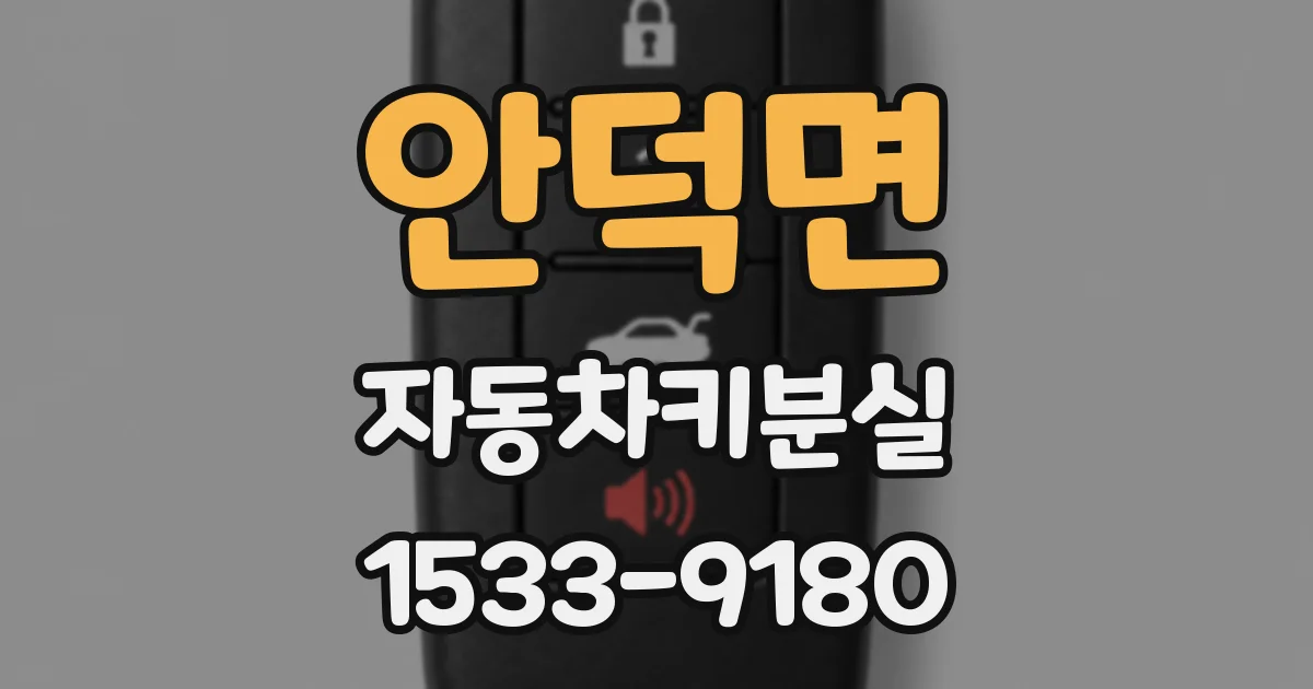 안덕면 자동차키분실