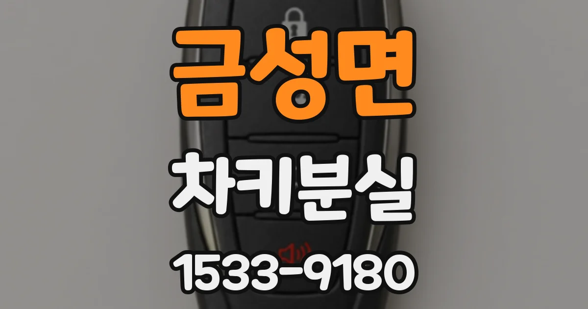 금성면 차키분실