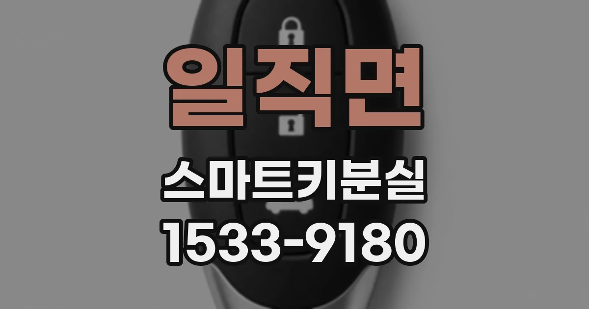 일직면 스마트키분실