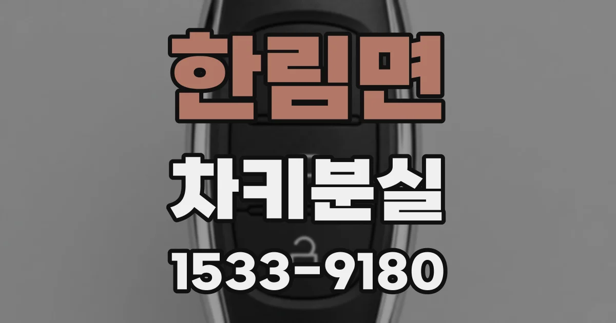 한림면 차키분실