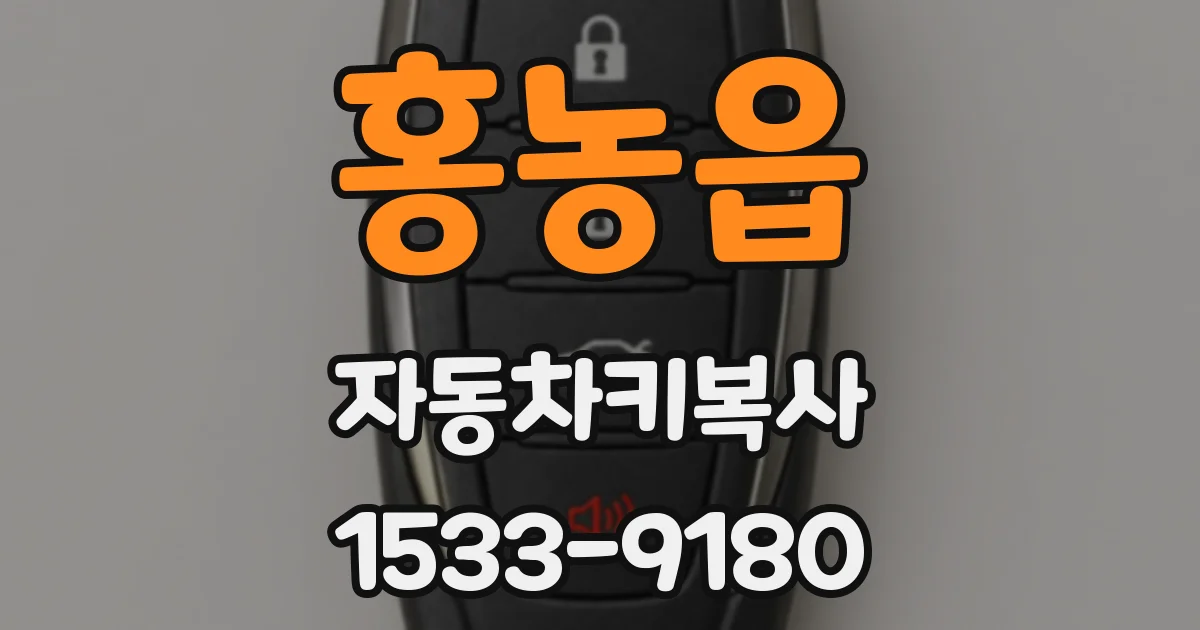 홍농읍 자동차키복사