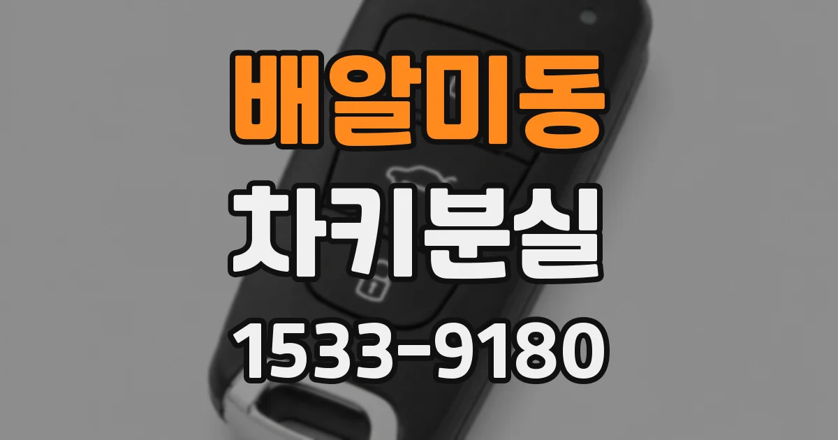 배알미동 차키분실