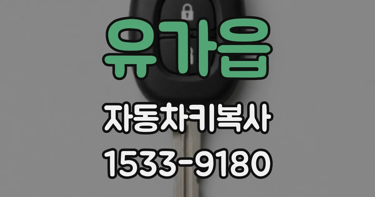 유가읍 자동차키복사