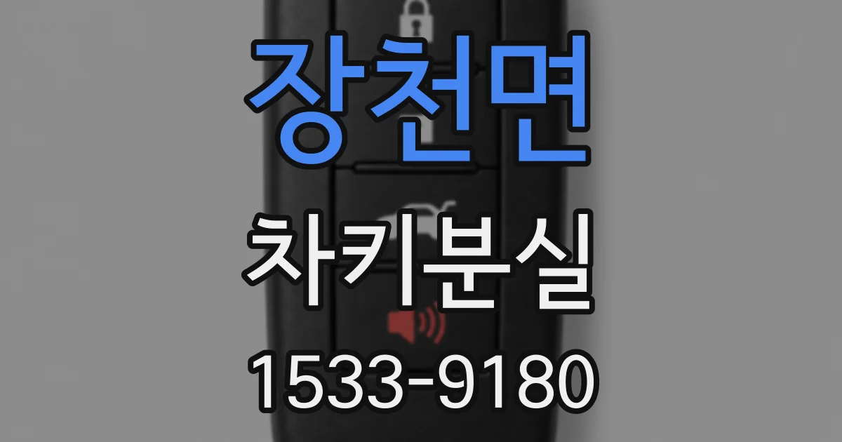 장천면 차키분실