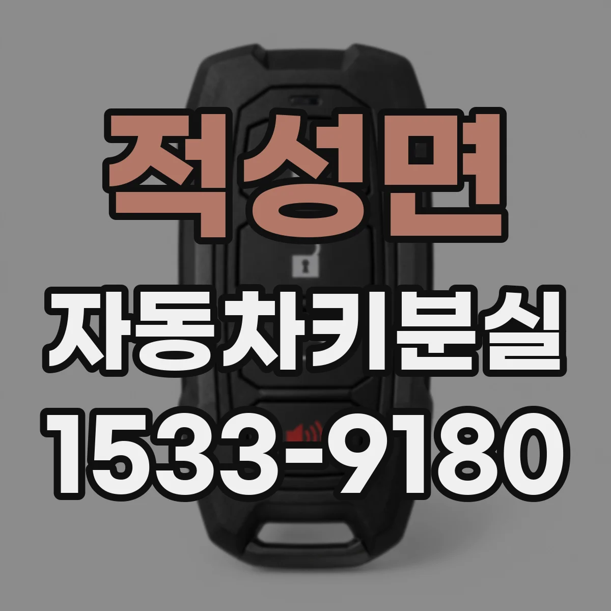 적성면 자동차키분실