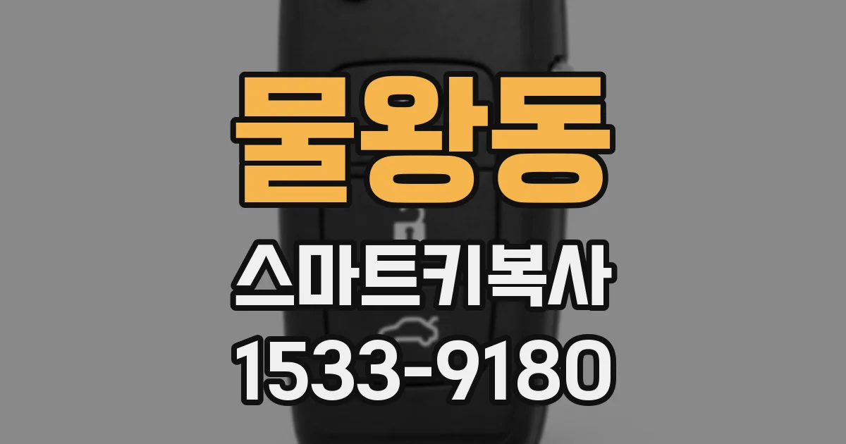 물왕동 스마트키복사