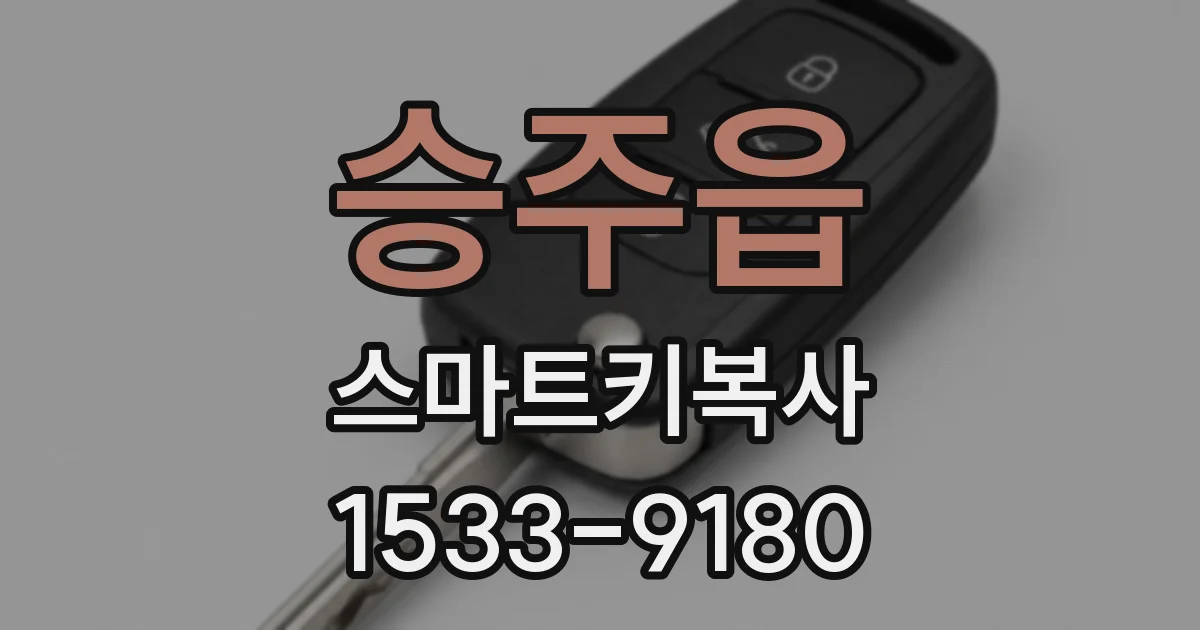 승주읍 스마트키복사