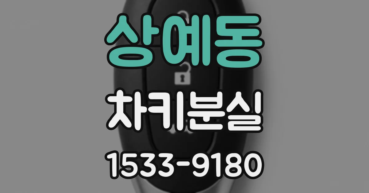 상예동 차키분실