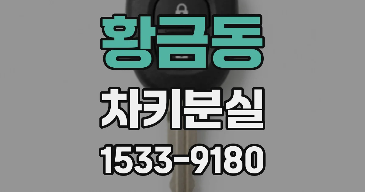 황금동 차키분실