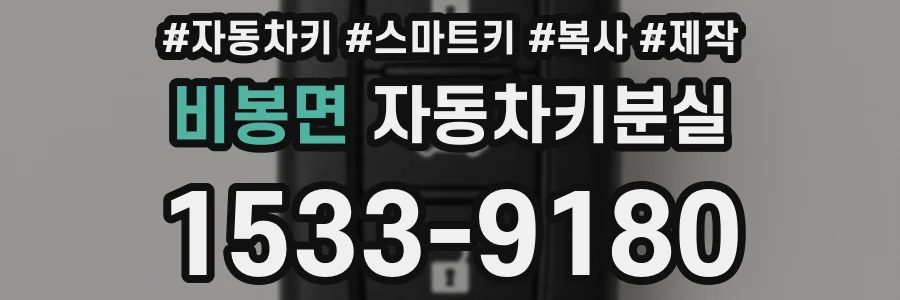 비봉면 자동차키분실