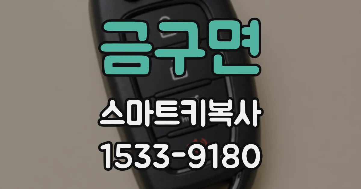 금구면 스마트키복사