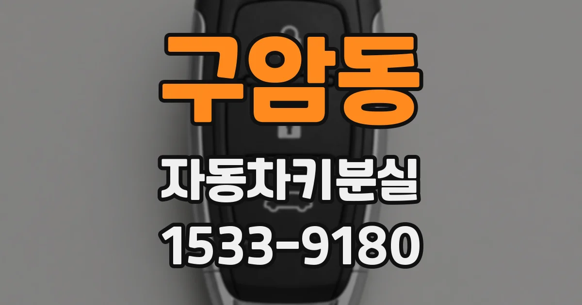 구암동 자동차키분실