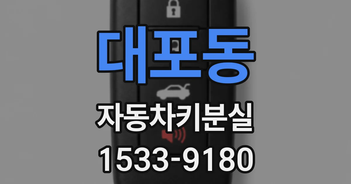 대포동 자동차키분실