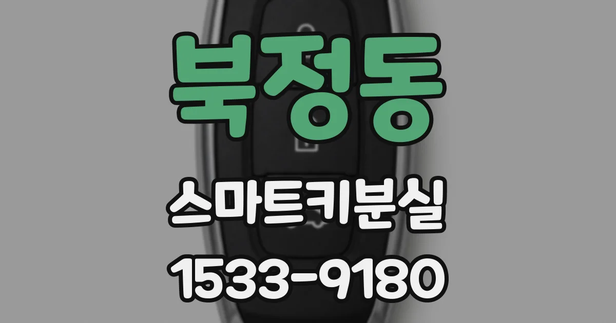 북정동 스마트키분실