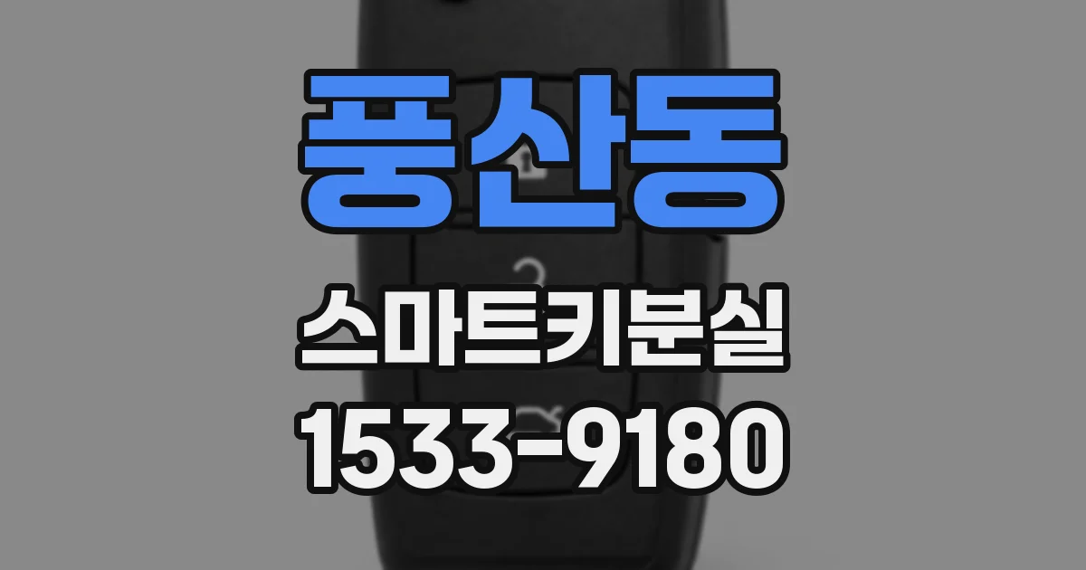 풍산동 스마트키분실