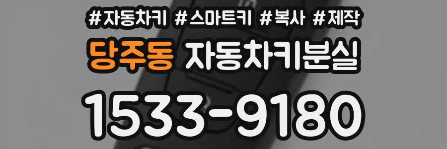 당주동 자동차키분실