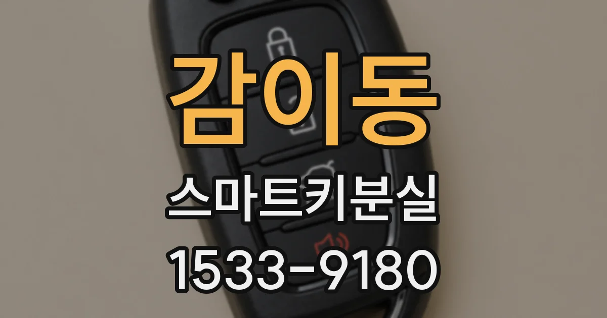 감이동 스마트키분실