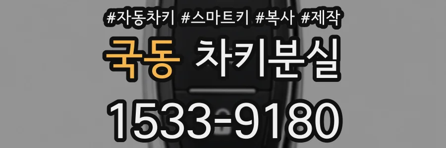 국동 차키분실