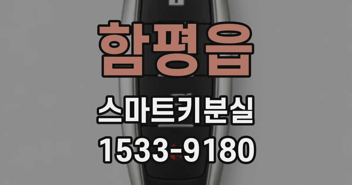함평읍 스마트키분실
