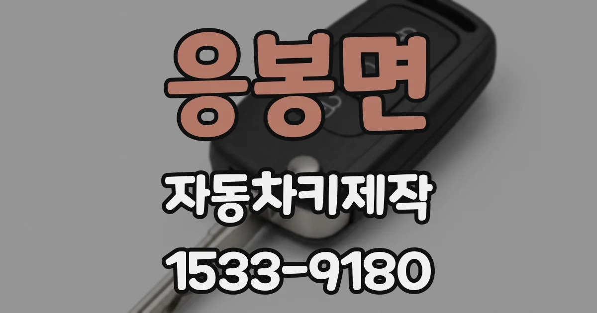 응봉면 자동차키제작