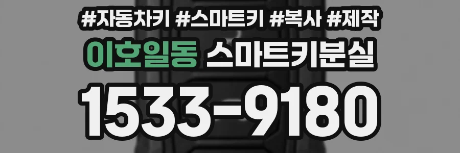 이호일동 스마트키분실
