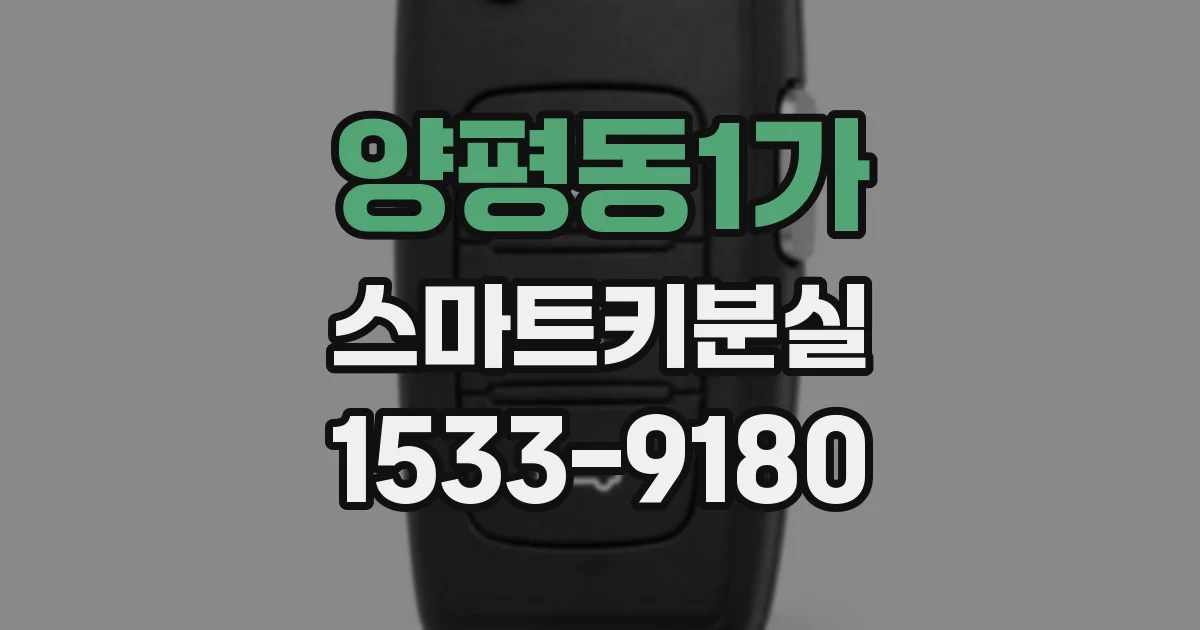 양평동1가 스마트키분실