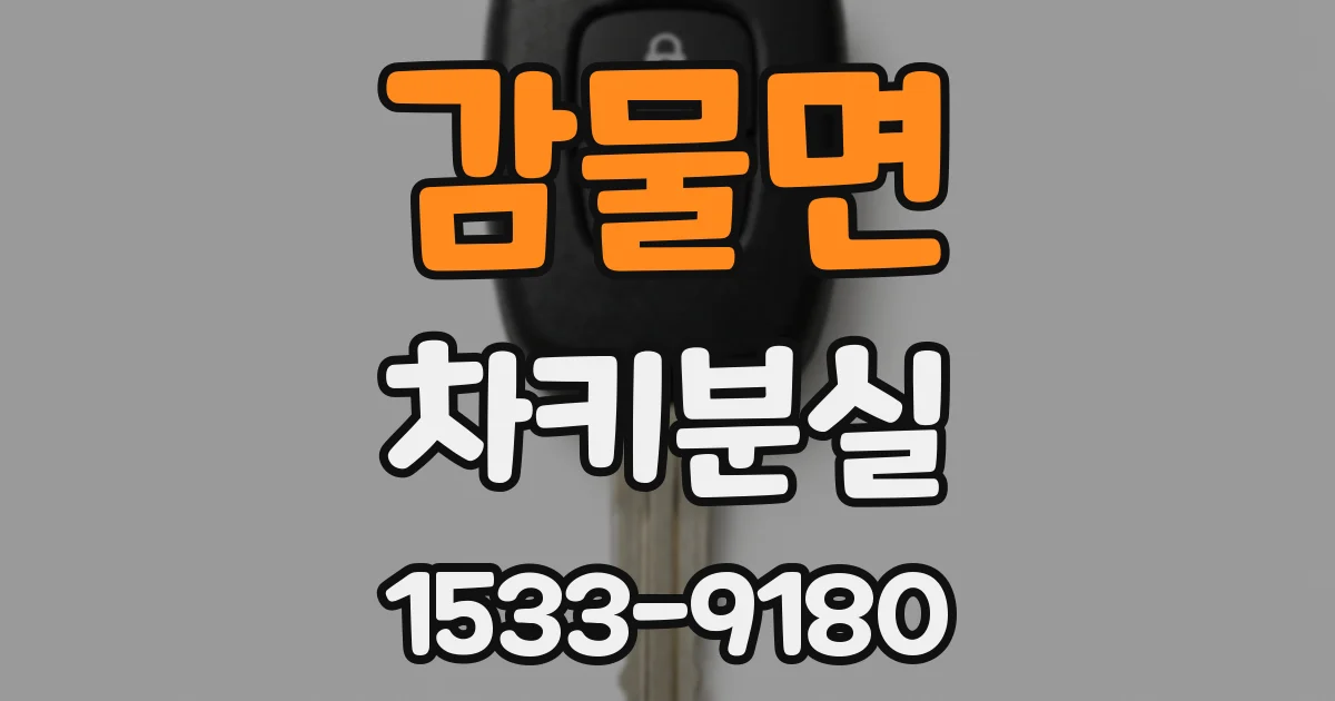 감물면 차키분실