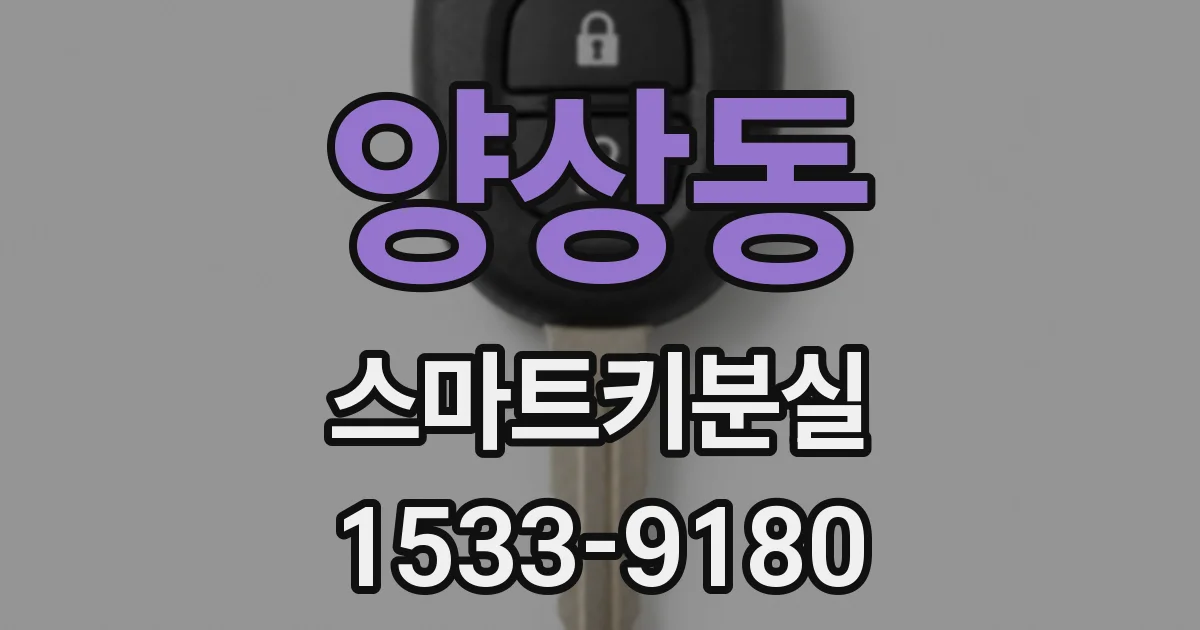 양상동 스마트키분실
