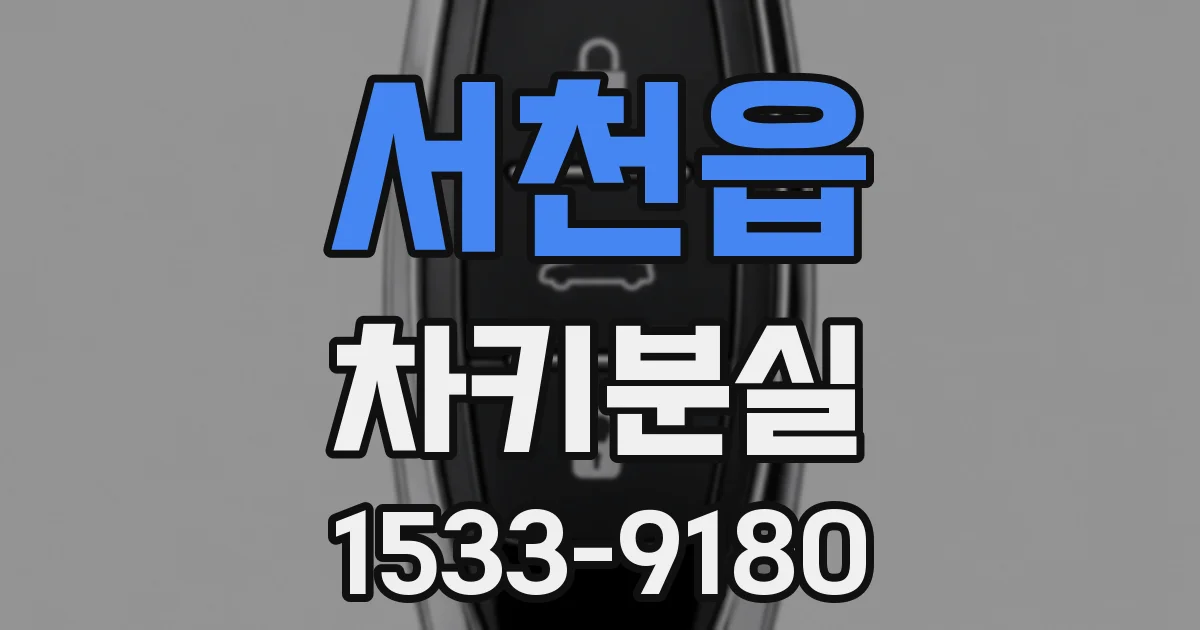 서천읍 차키분실