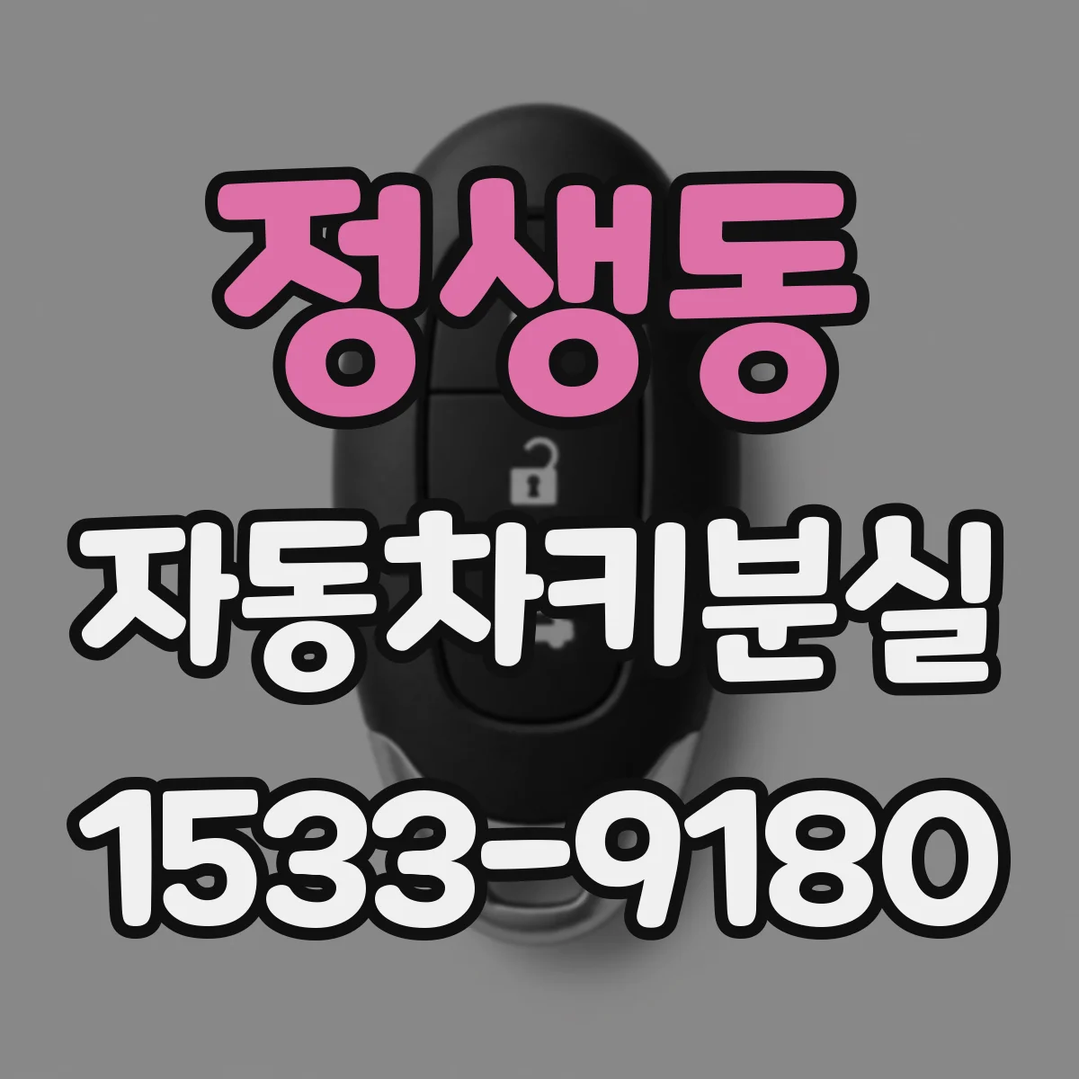 정생동 자동차키분실
