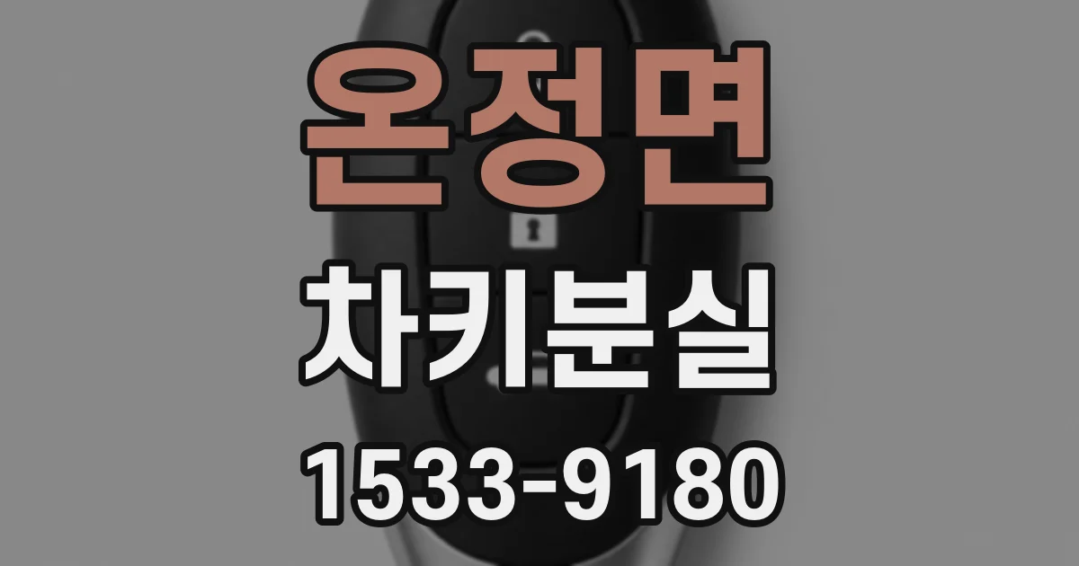 온정면 차키분실