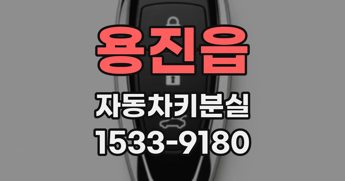 용진읍 자동차키분실
