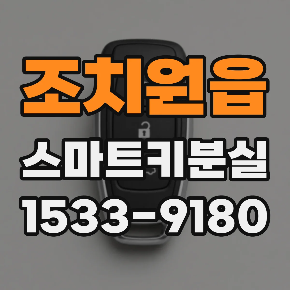 조치원읍 스마트키분실