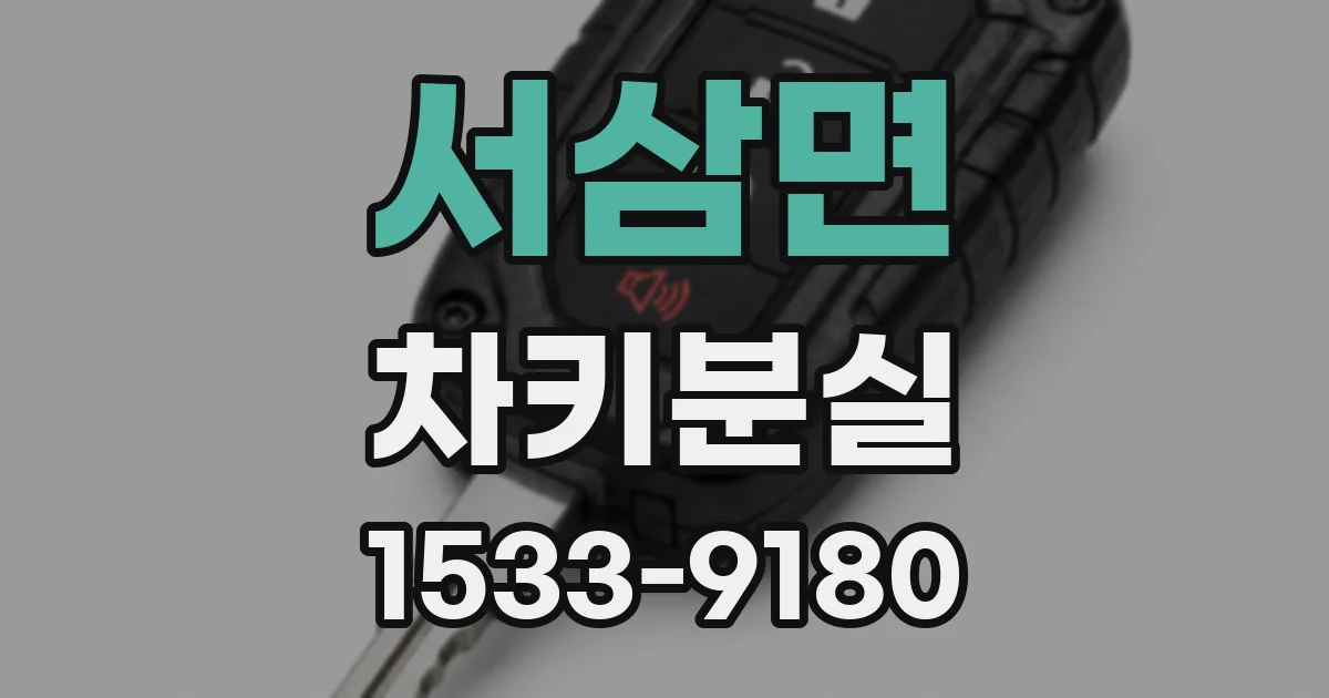 서삼면 차키분실