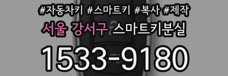 서울 강서구 스마트키분실