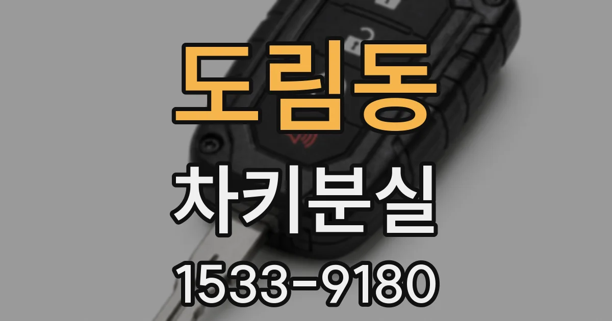 도림동 차키분실