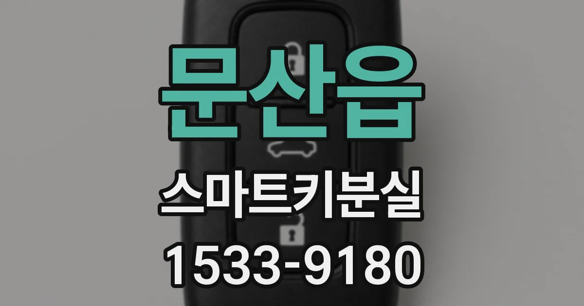 문산읍 스마트키분실