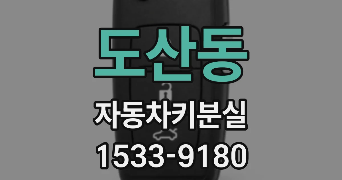 도산동 자동차키분실