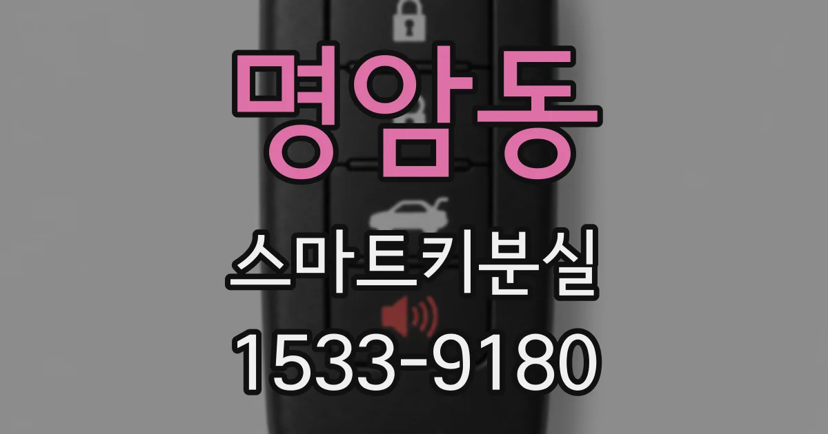 명암동 스마트키분실