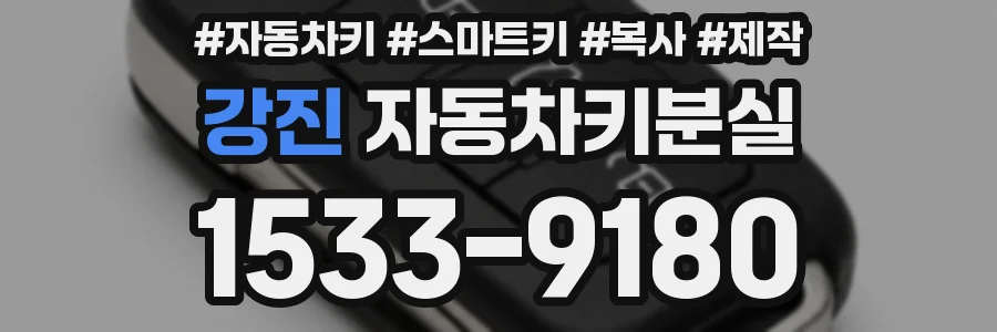 강진 자동차키분실