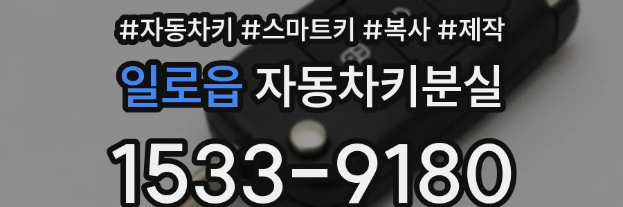 일로읍 자동차키분실
